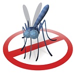 איך להימנע מעקיצות יתושים?